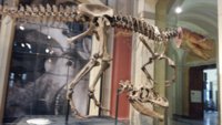20160407_141938.jpg