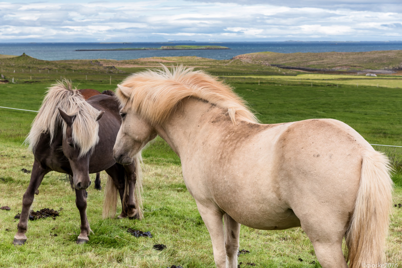 Iceland - Day_7-23.jpg