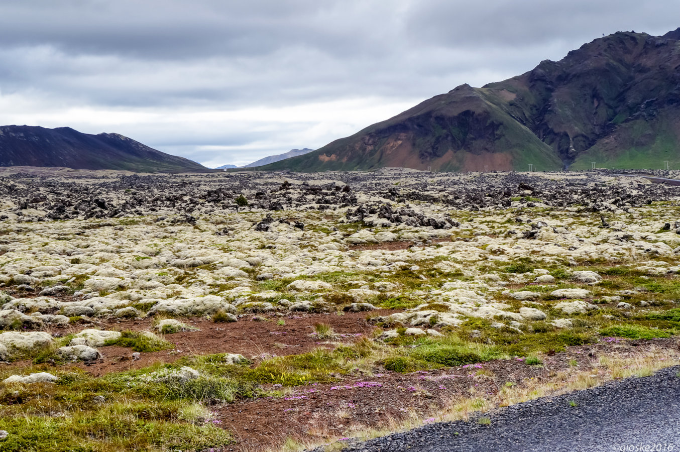 Iceland - Day_7-18.jpg