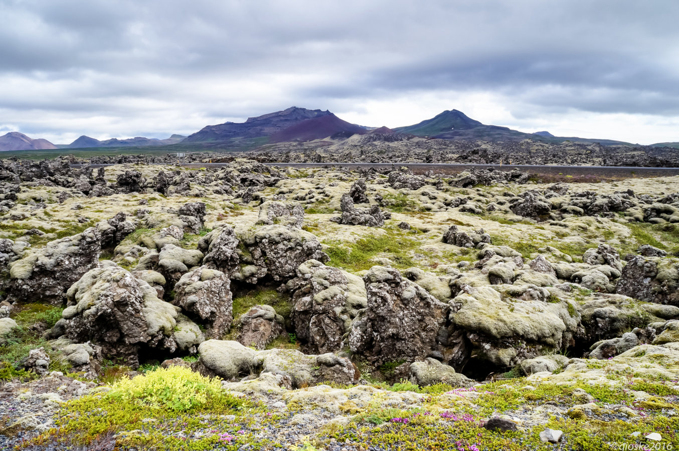 Iceland - Day_7-19.jpg