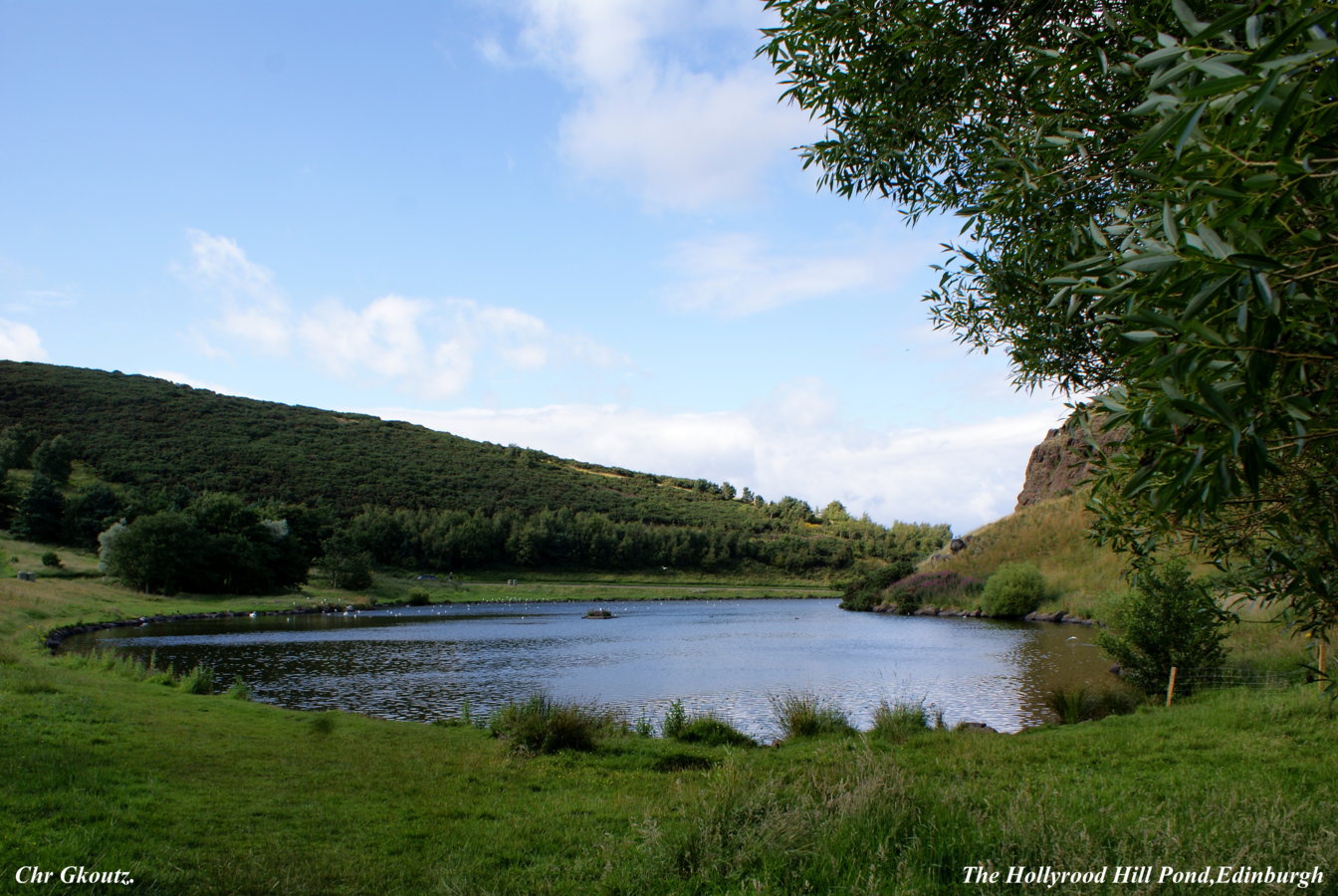 DSC03394 The Holyrood Hill Pond,Edinburgh.jpg