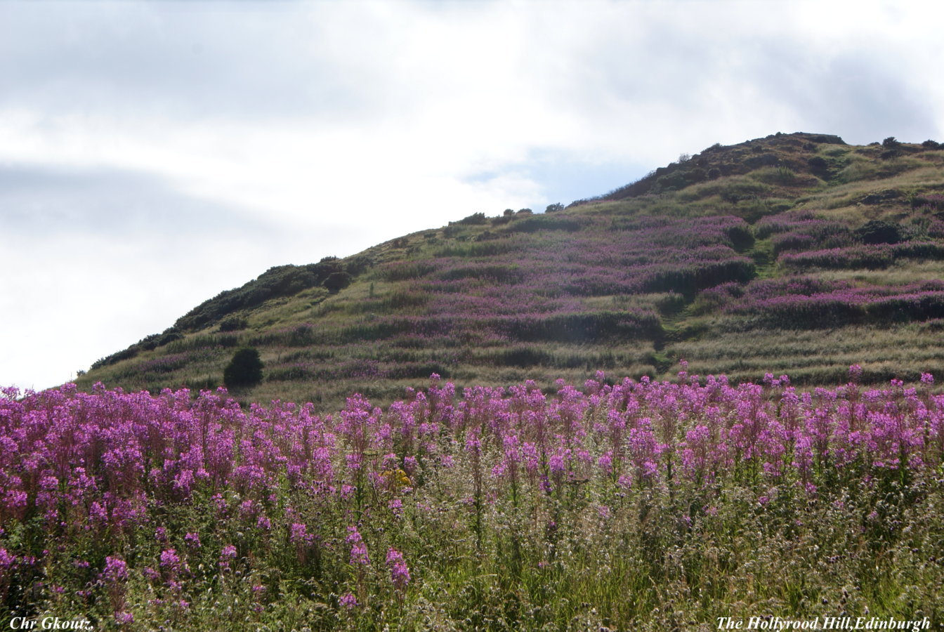 DSC03398 Arthur's Seat,at Holyrood Hill.jpg