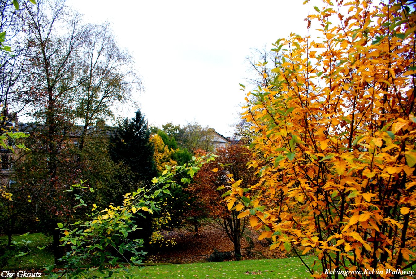 DSC01762aKelvingrove,Kelvin Walkway a.jpg