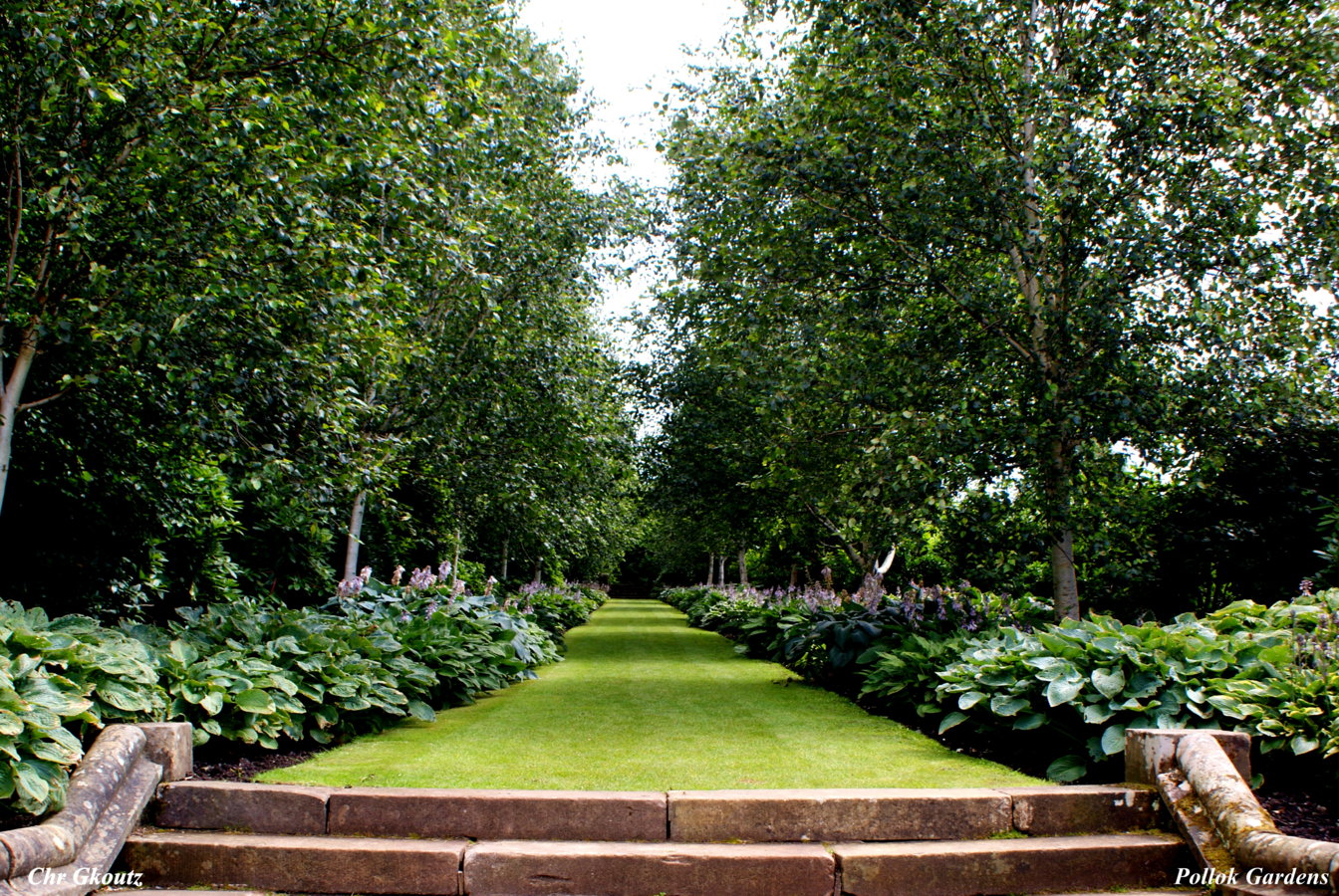 DSC06246Pollok Gardens.jpg