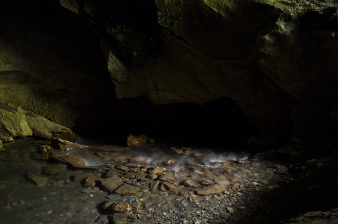 _DSC0805.JPG