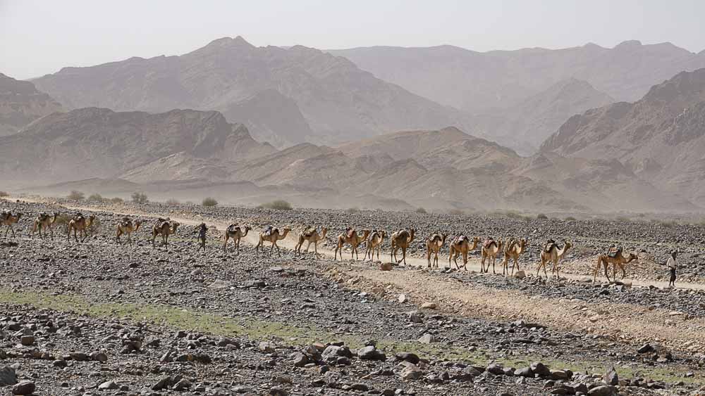 4555_Ethiopia '16_1.jpg