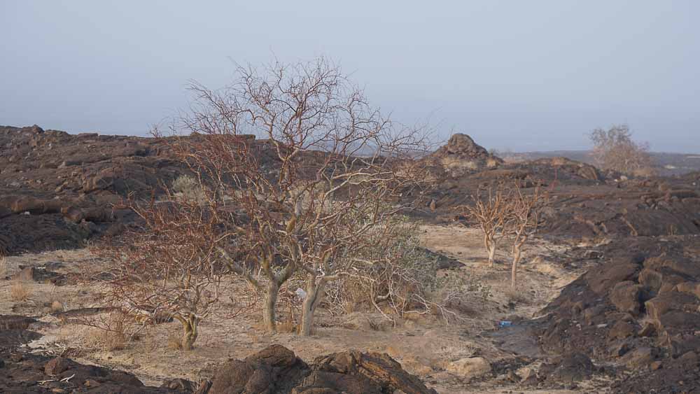 5957_Ethiopia '16_1.jpg