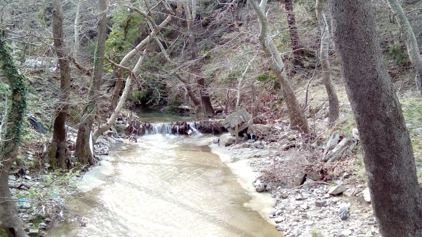 DSC_1711.JPG