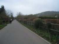 Giverny.JPG Giverny.JPG