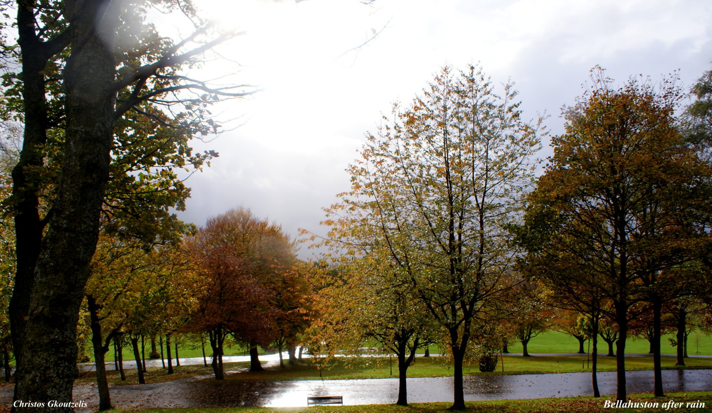 DSC01747Bellahuston after rain.jpg