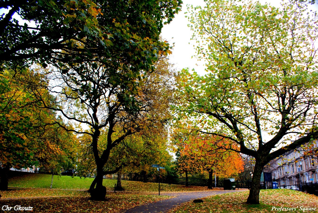 DSC01763aKelvingrove,Kelvin Walkway a.jpg