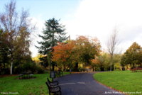 DSC01778 Kelvin Walkway,Kelvingrove Park.jpg