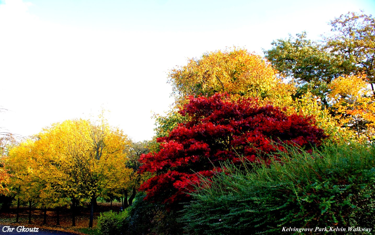 DSC01781aKelvingrove,Kelvin Walkway a.jpg