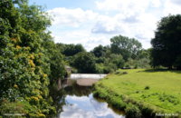 DSC06267 Pollok Park Weir.jpg