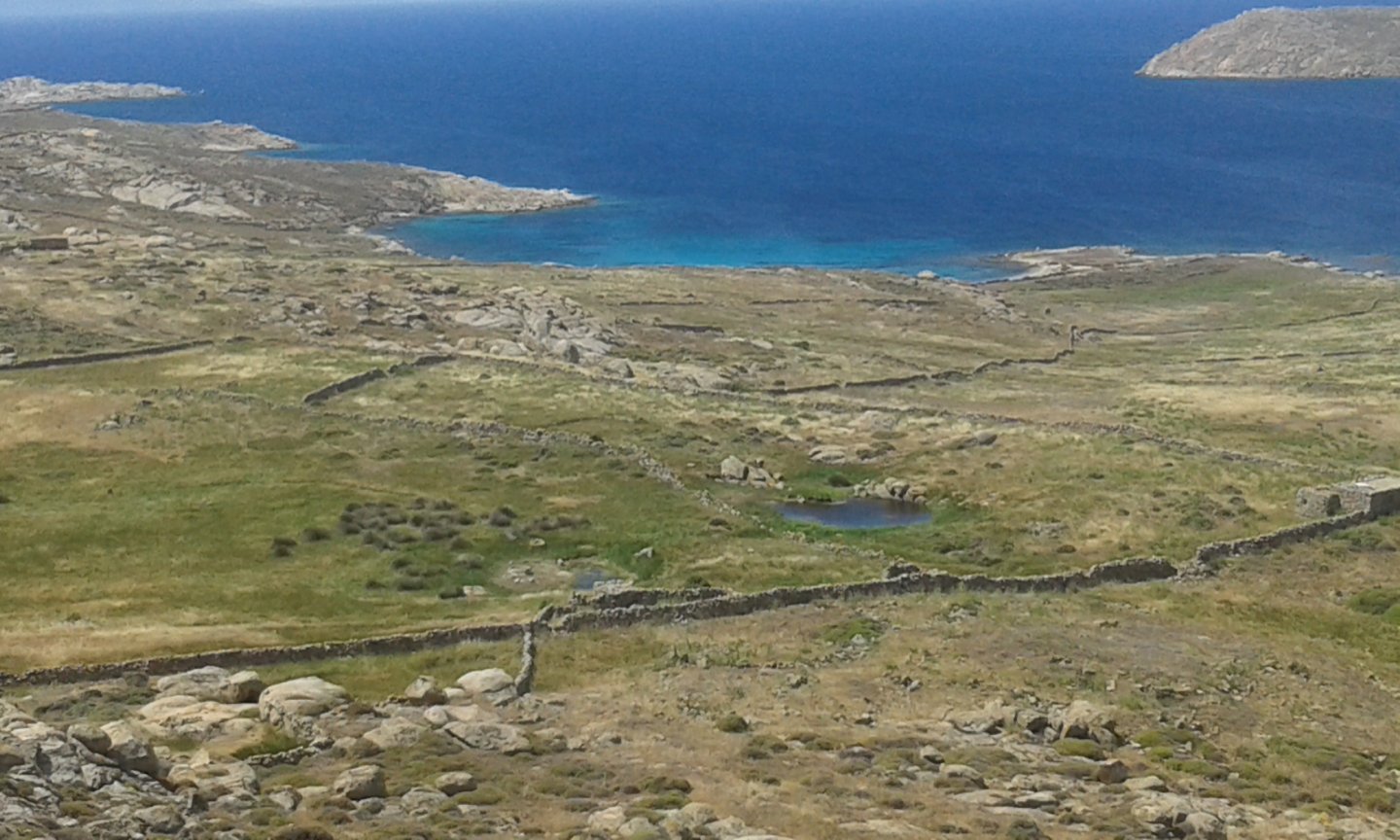20170515_113007.jpg
