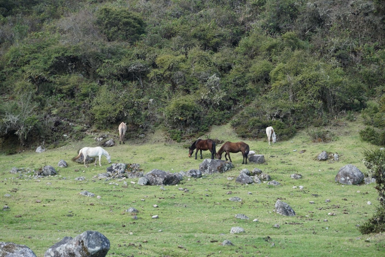 DSC03704.JPG