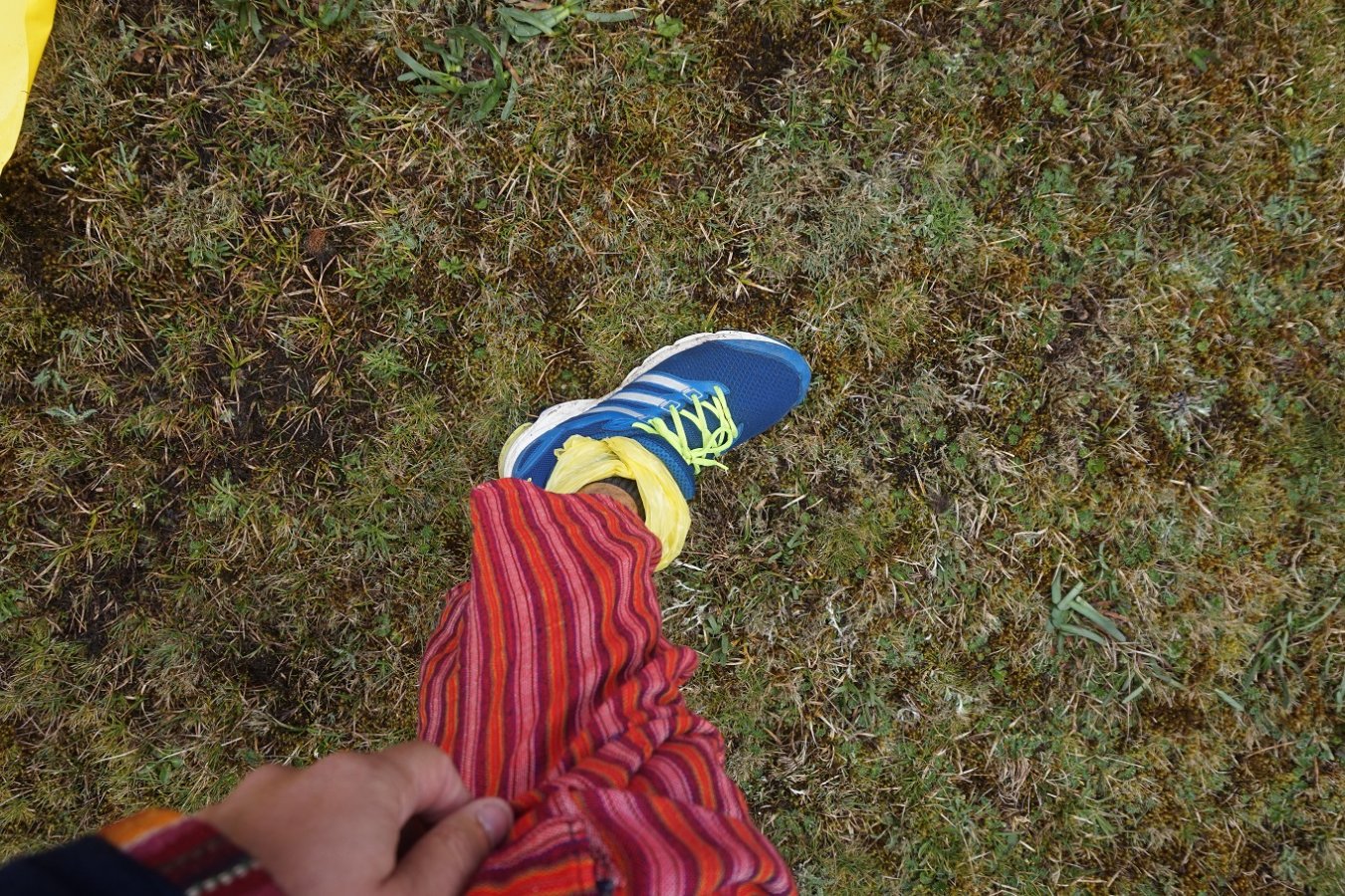 DSC03730.JPG