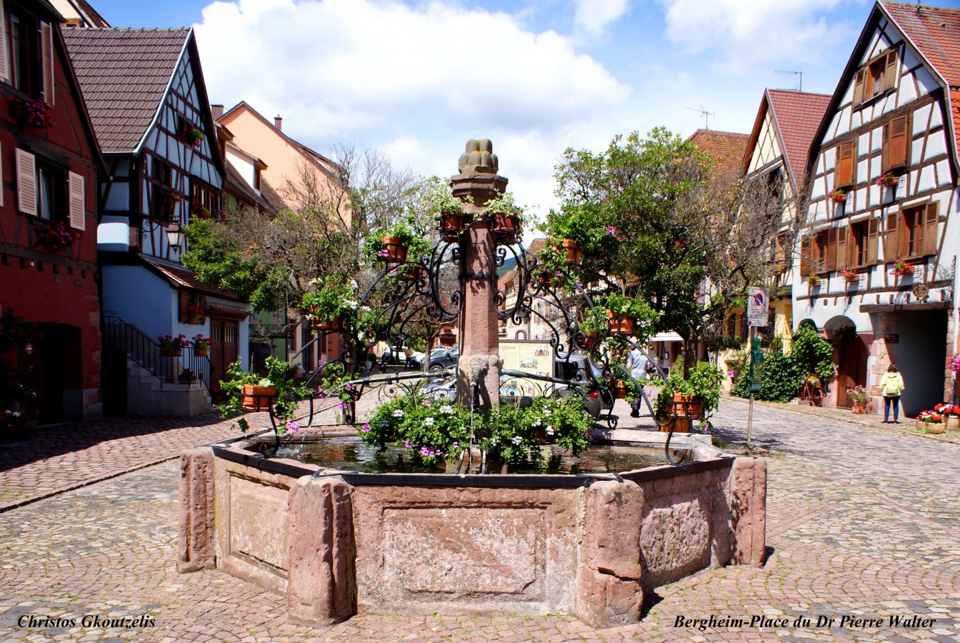 DSC07060  Bergheim-Place du Dr Pierre Walter.jpg