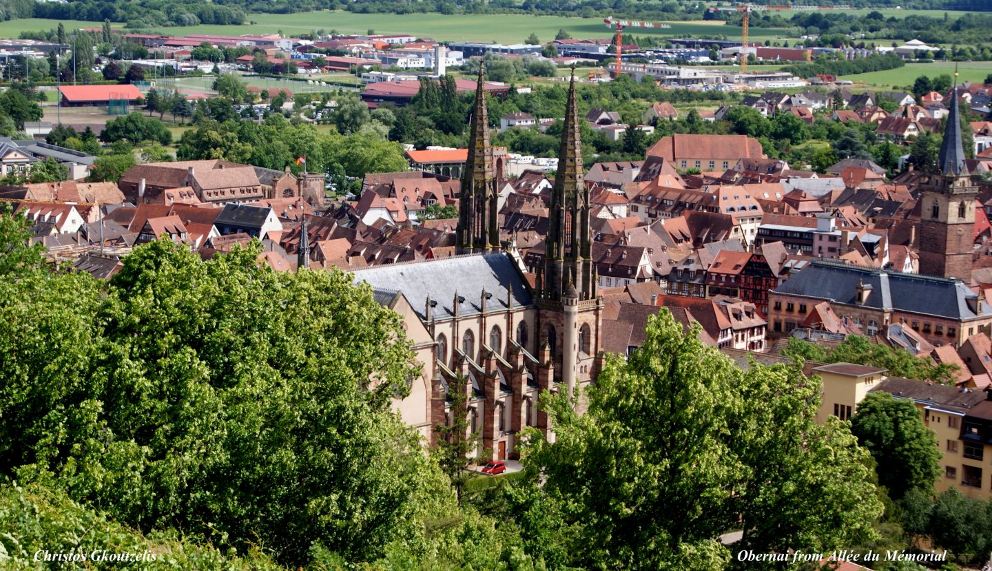 DSC07117 Obernai from Allée du Mémorial.jpg