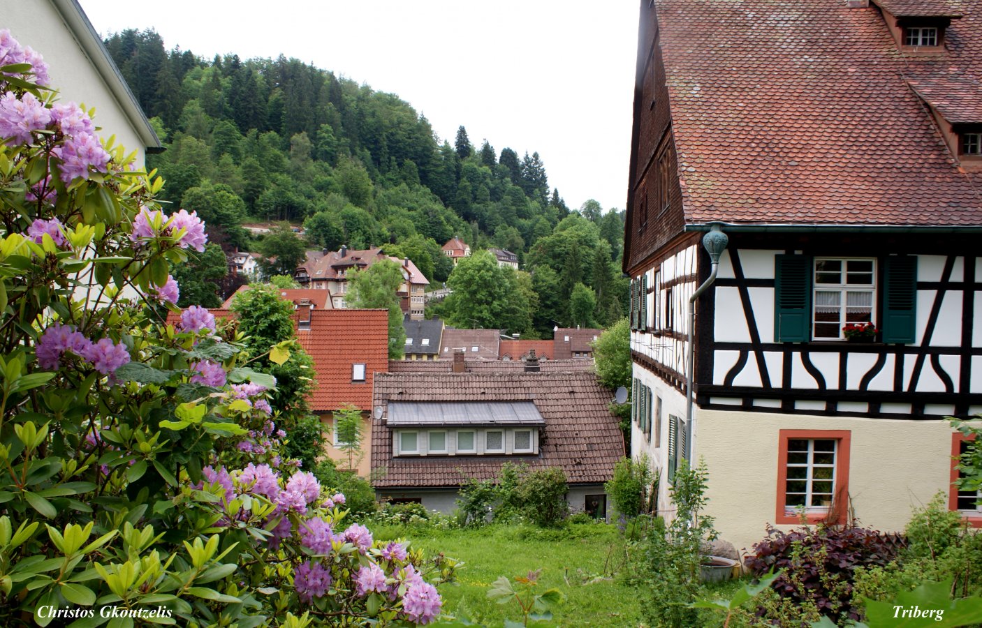 DSC07292  Triberg.jpg