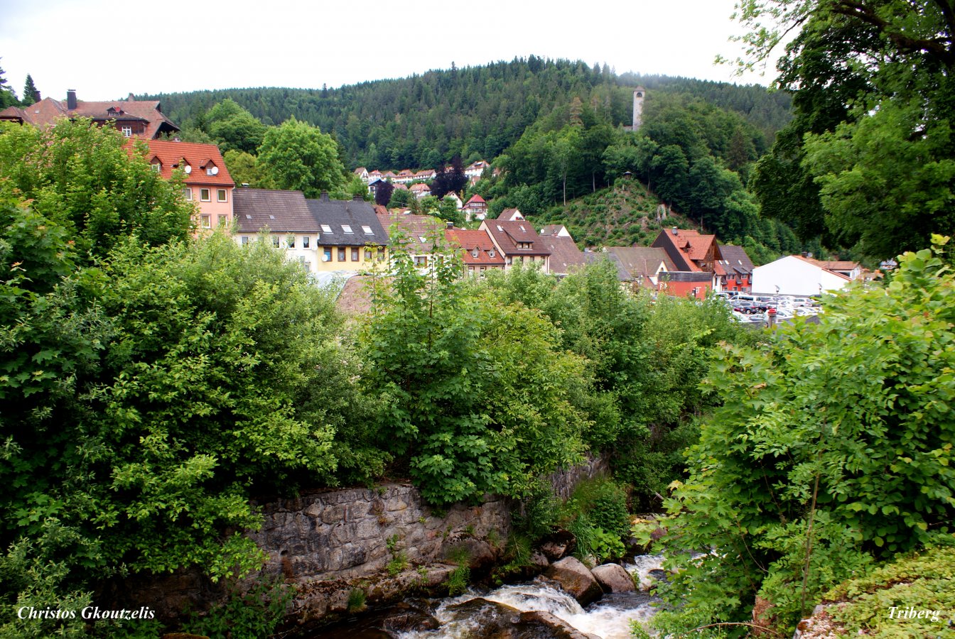 DSC07297Triberg.jpg