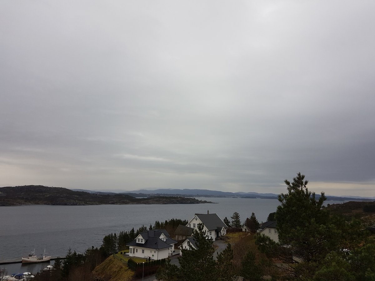 20170203_132241.jpg