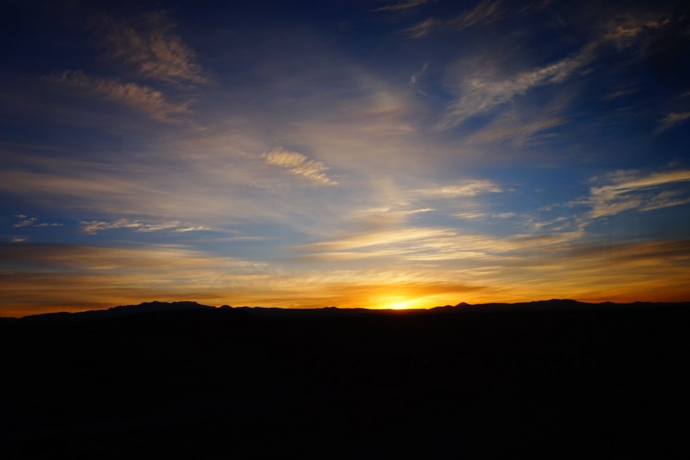 DSC05135.JPG