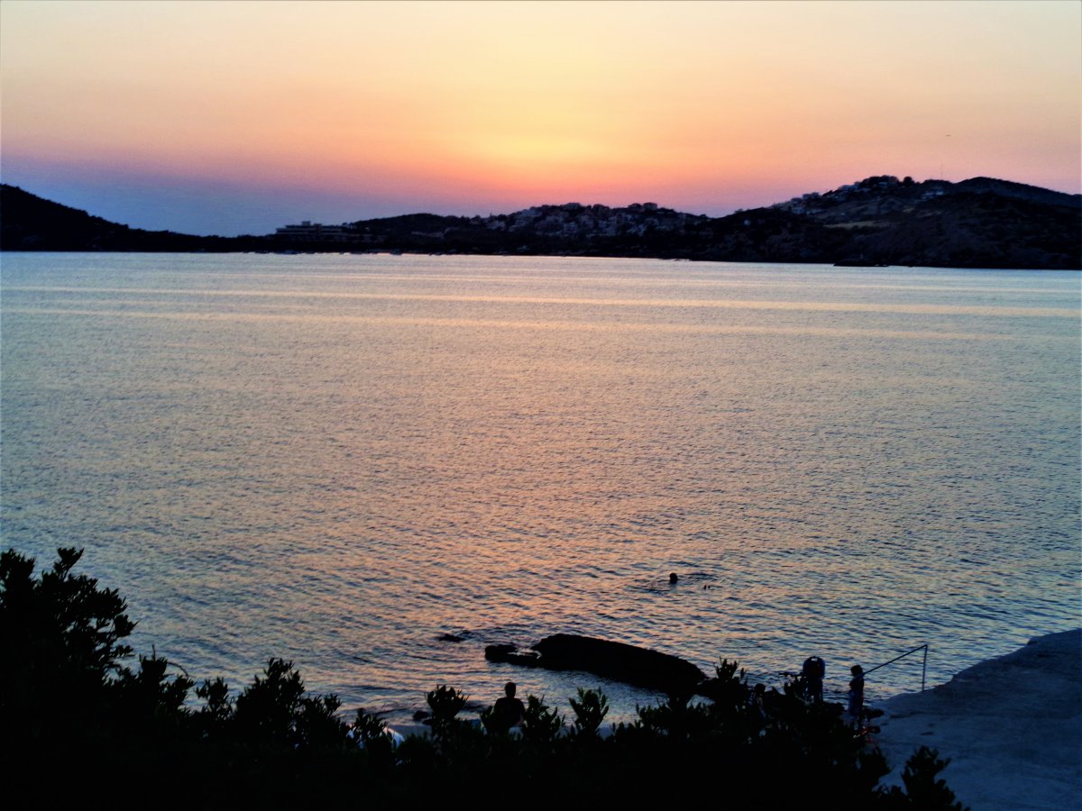 DSC07484 (2).JPG
