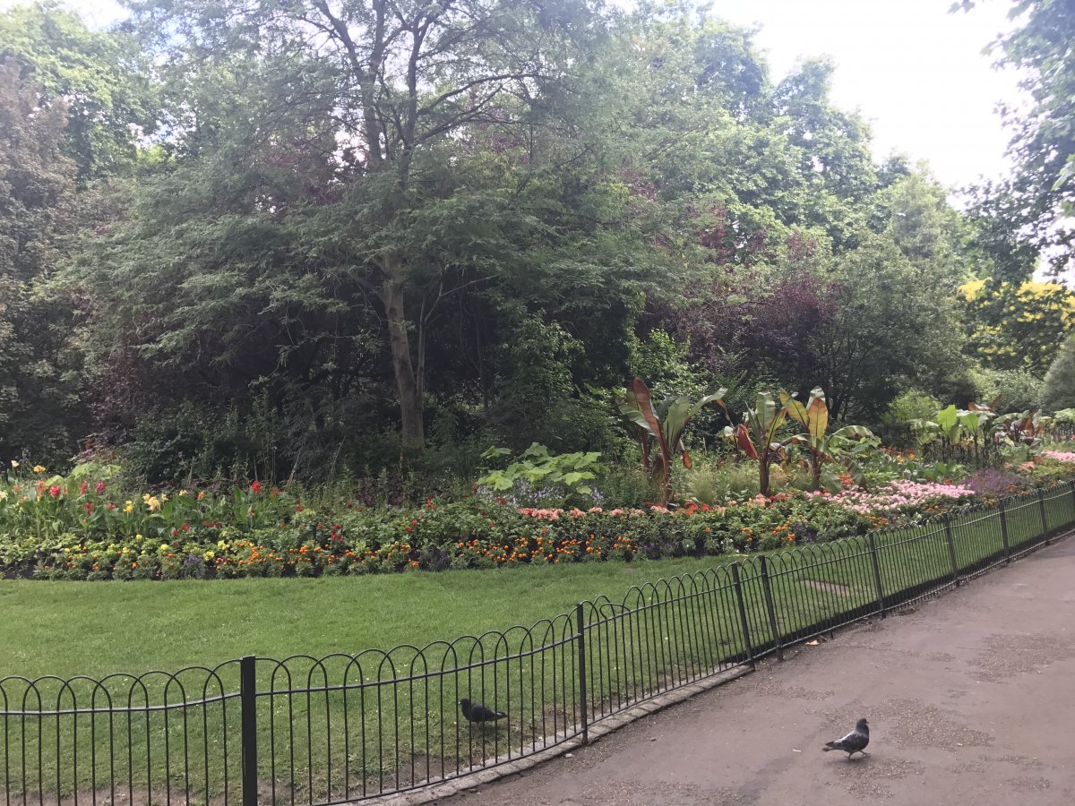 ST. JAMES PARK (2).JPG