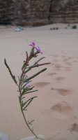 20170315_164312.jpg