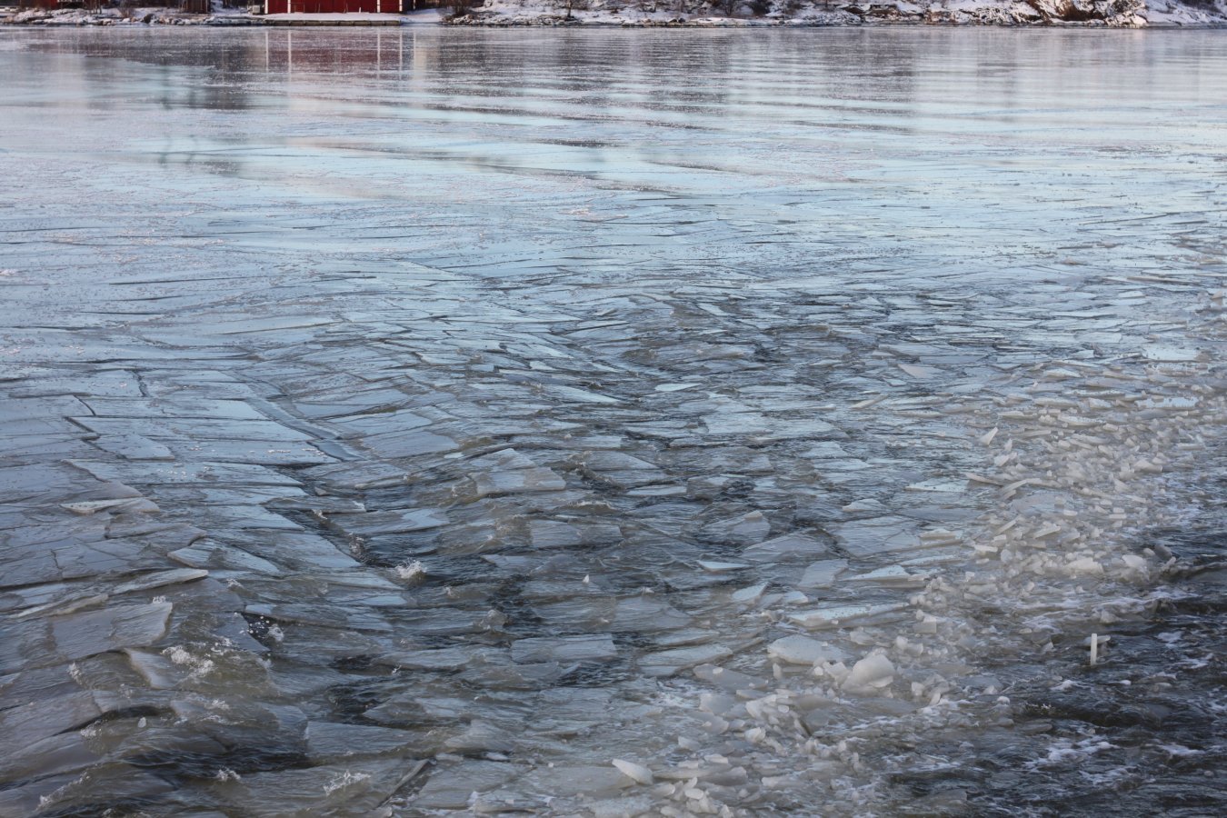 IMG_2602.JPG