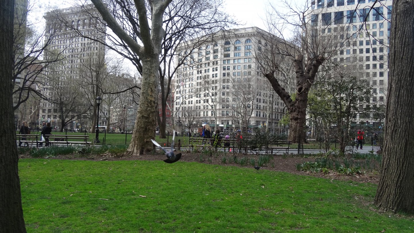 DSC08280.JPG