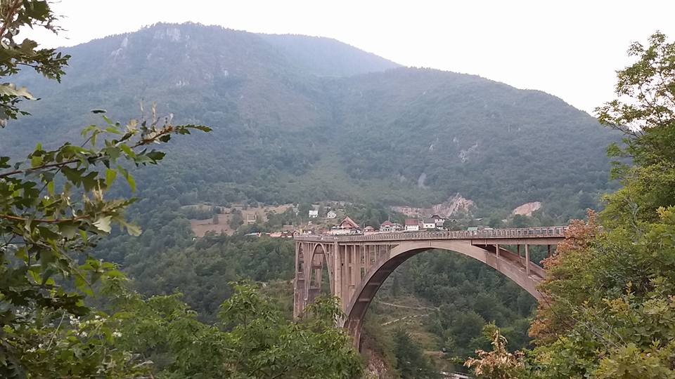 8a.jpg