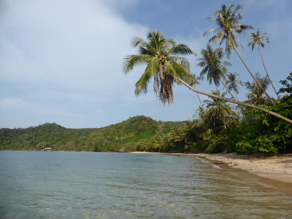 P1010117.JPG