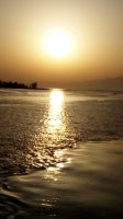IMG_20170917_185516.jpg