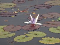 DSC04777.JPG