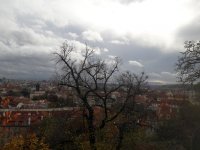 20171022_122748.jpg