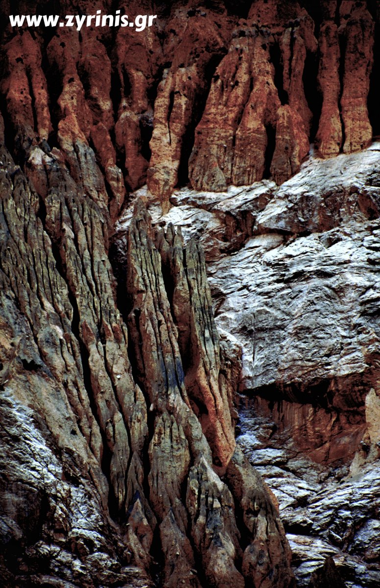 image488.jpg