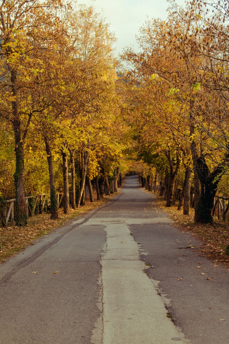_MG_6734.jpg