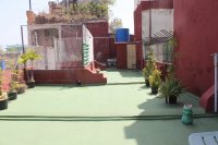 IMG_6427.JPG IMG_6427.JPG