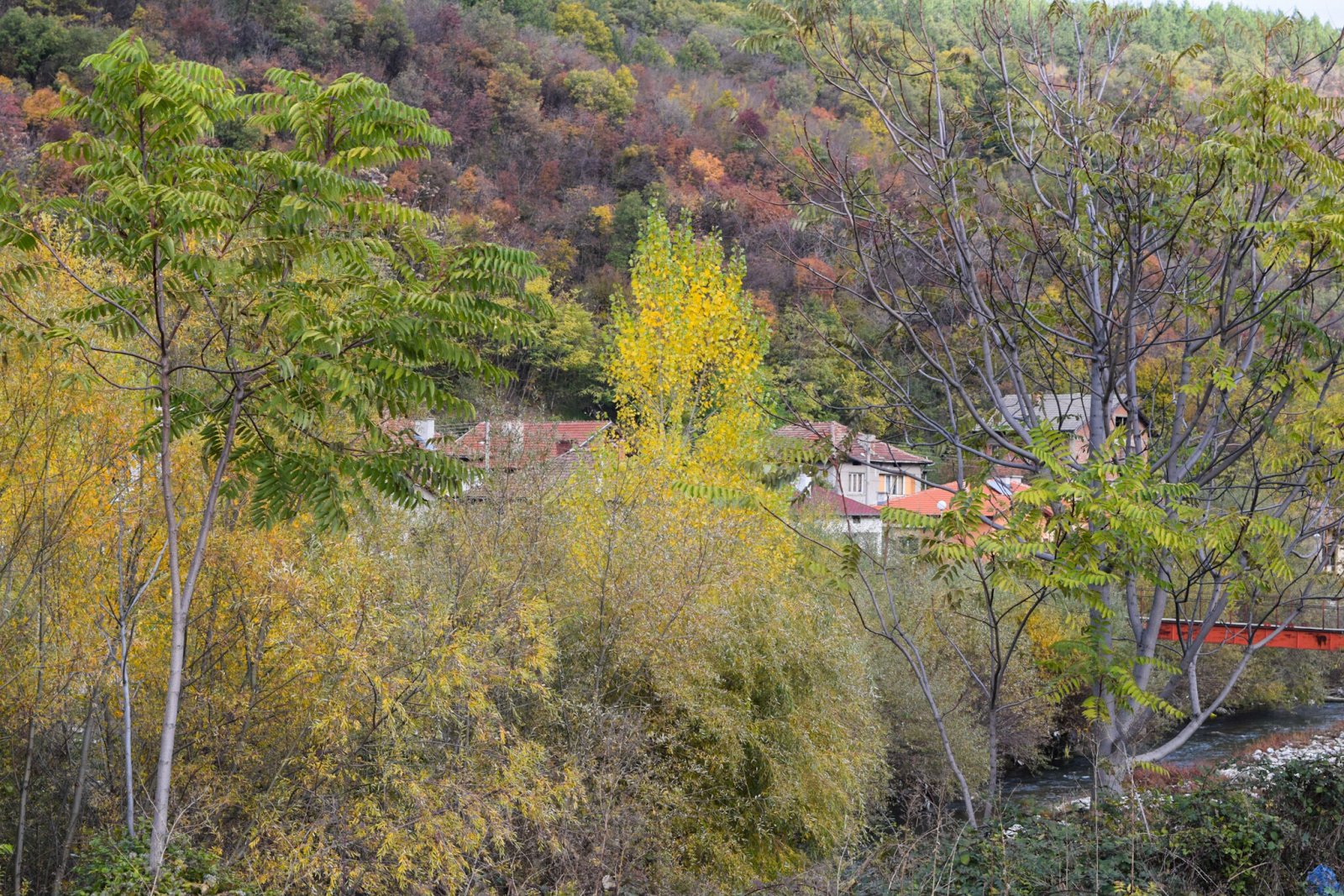 Bulgaria 2 (8).jpg