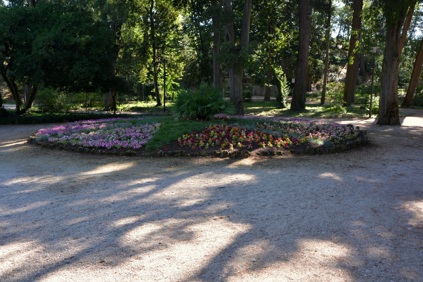 51.JPG
