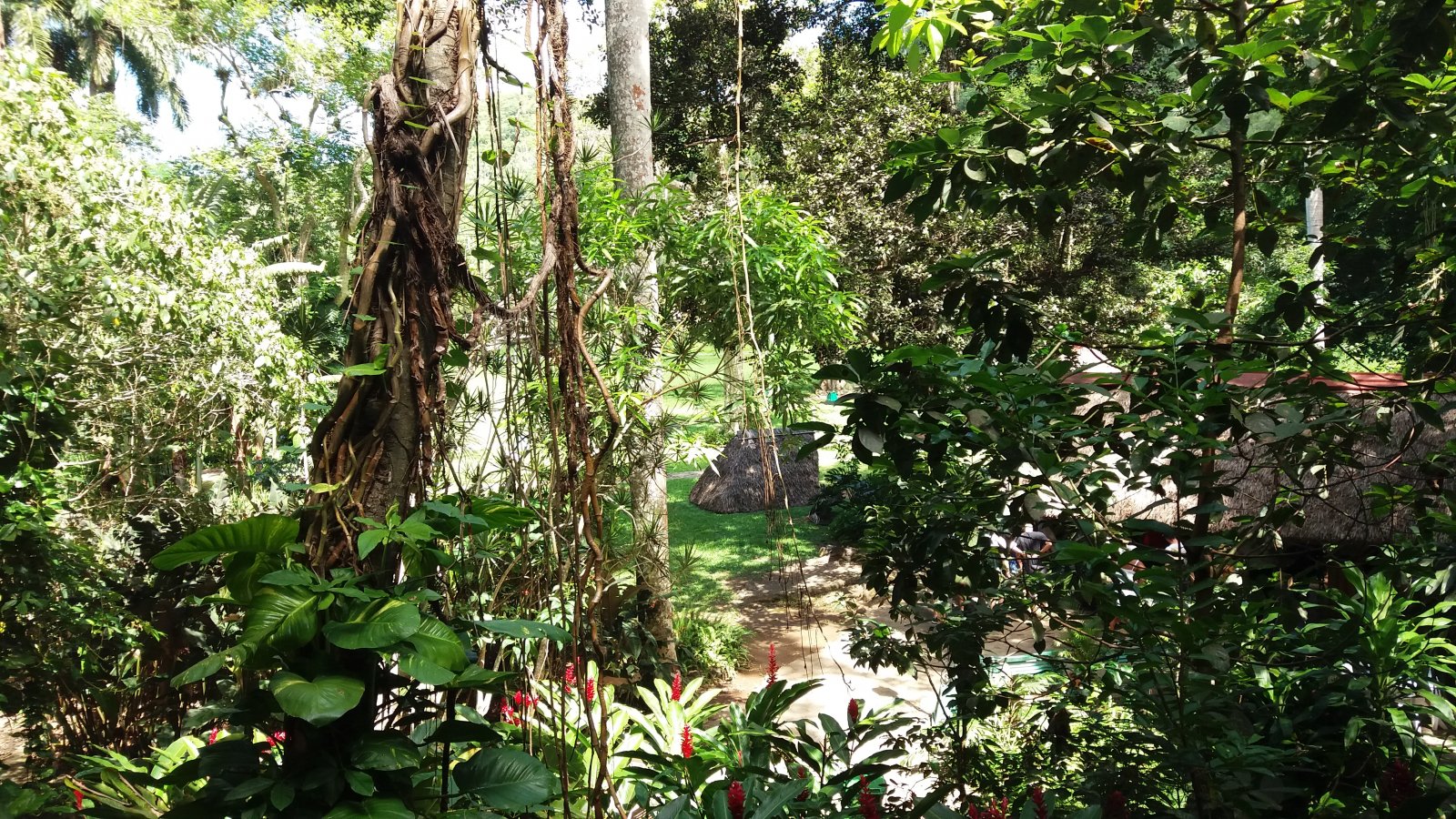 20170711_112809.jpg