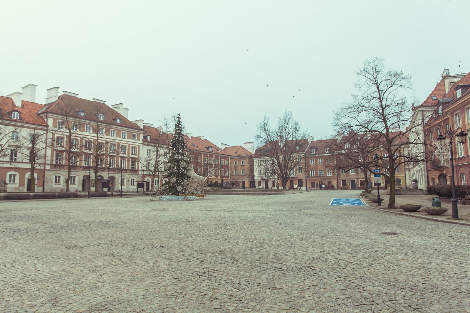 20171218-_MG_8900.jpg