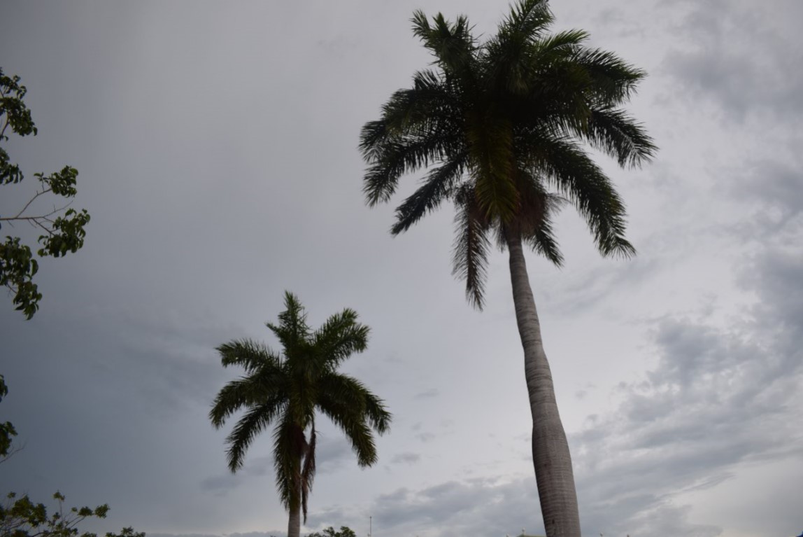 Screenshot_33.jpg