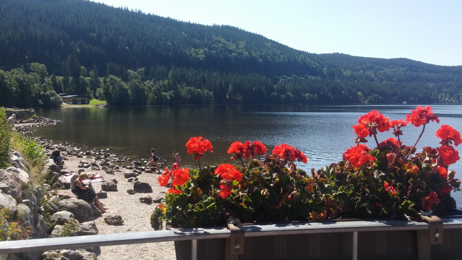 20170823_123427.jpg