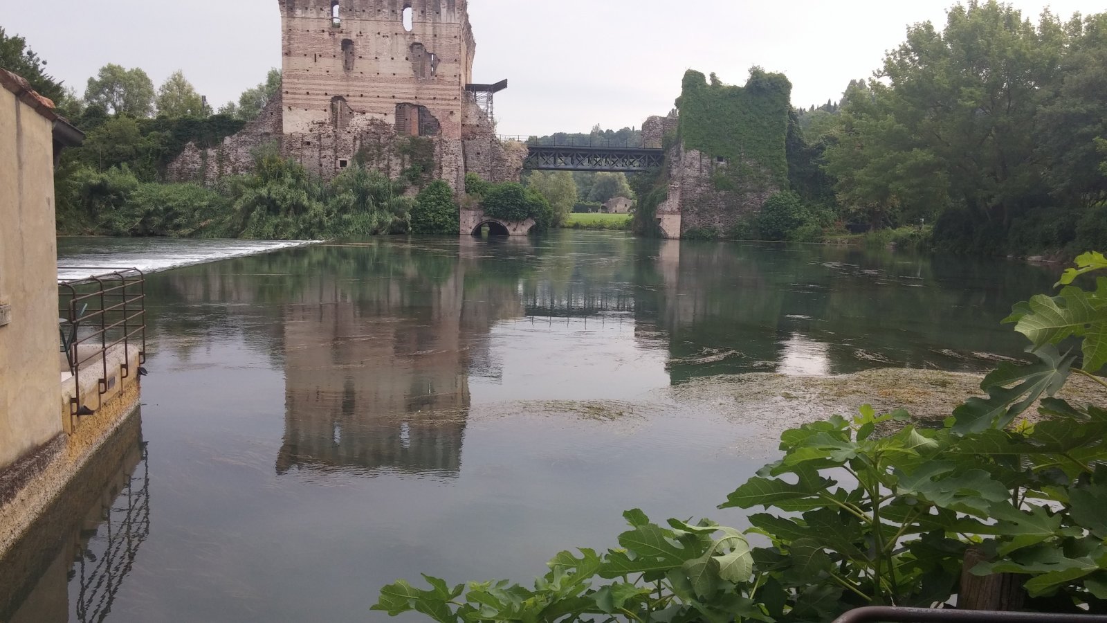 20160708_094000.jpg