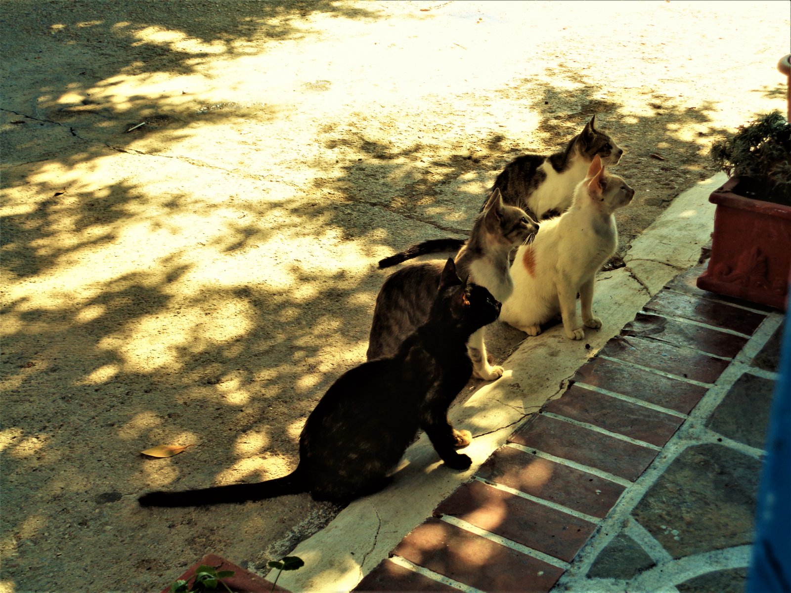 DSC07358 (2).JPG