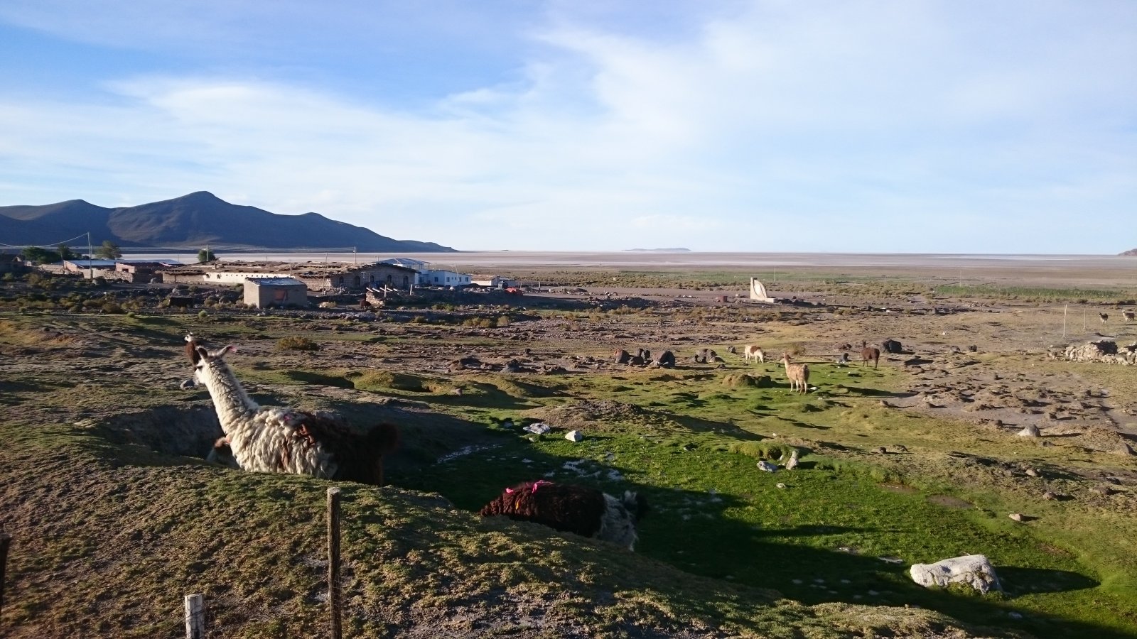 DSC_0966.JPG