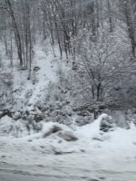 IMG_20180122_110302.jpg IMG_20180122_110302.jpg